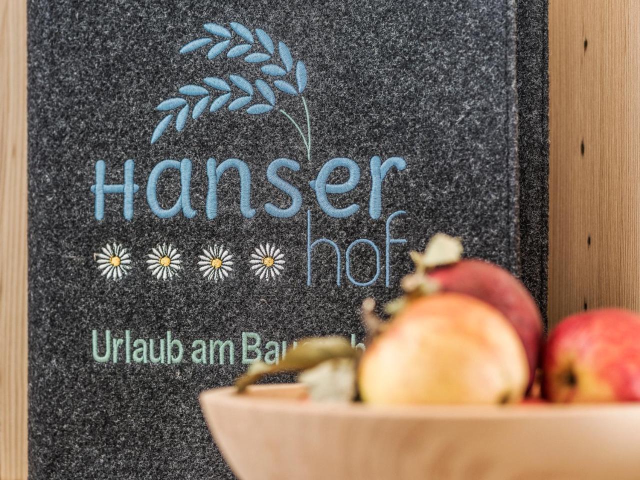 Hanserhof ツェル・アム・ツィラー エクステリア 写真